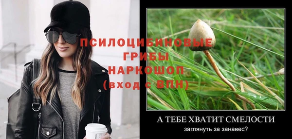 гашик Балабаново