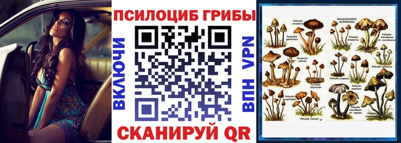 это какой сайт Волгореченск Псилоцибиновые грибы мухоморы